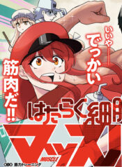 Hataraku Saibou Muscle